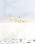 Calliope Stud Earrings