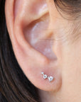 Calypso Stud Earrings