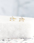 Demeter stud earrings
