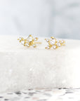 Eunomia Stud Earrings