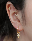Cassandra Charm (single or pair)