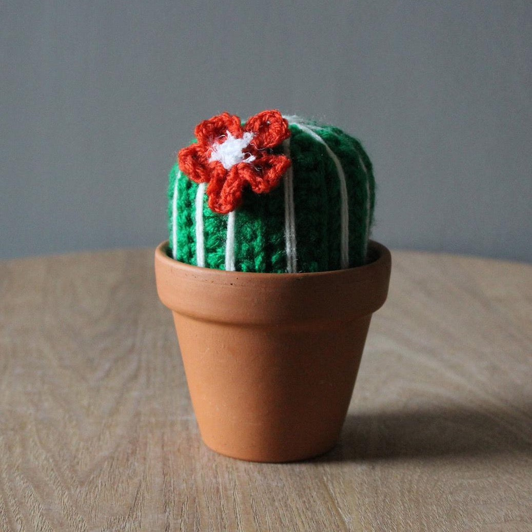 Crocheted Flowering Cactus