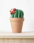 Crocheted Flowering Cactus