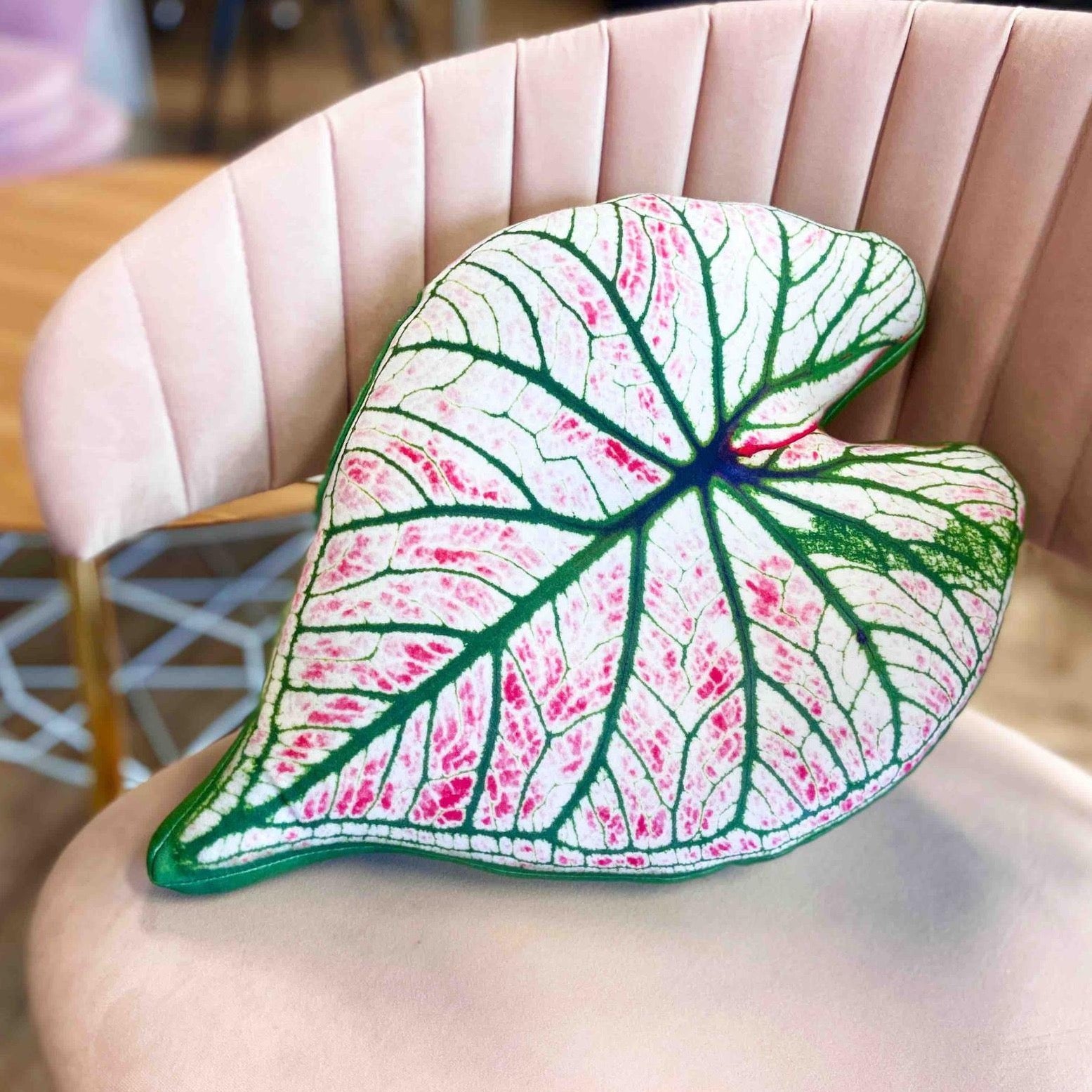 Caladium cushion