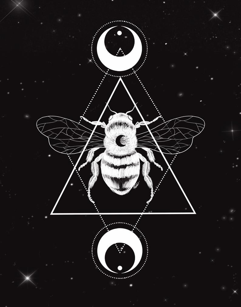 Illustration - Abeille céleste