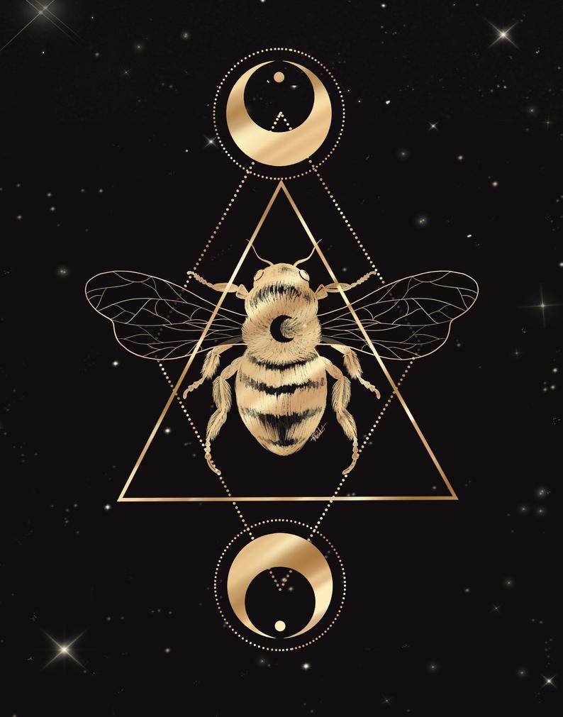 Illustration - Abeille céleste