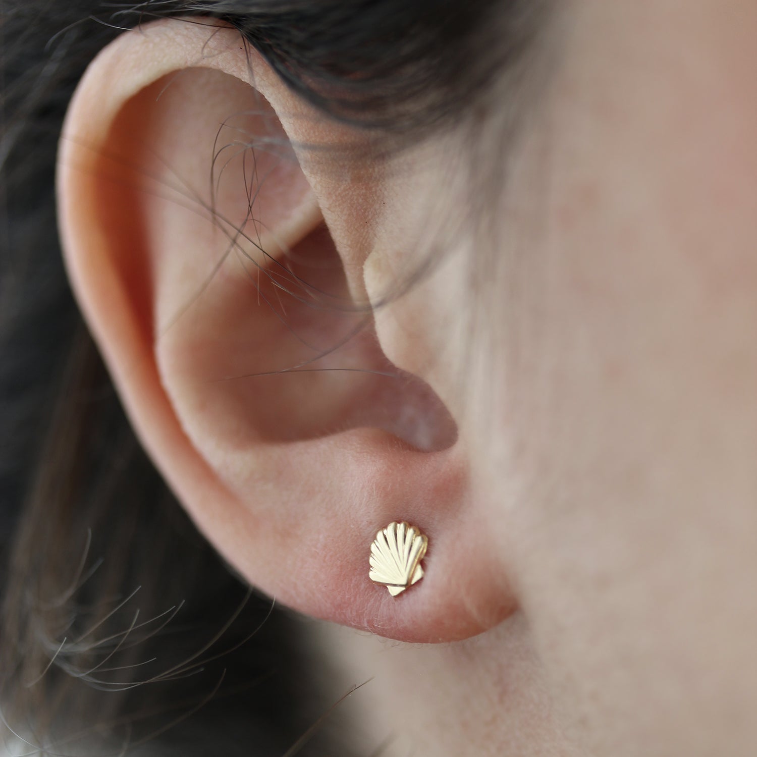 Boucles d'oreilles petits coquillages
