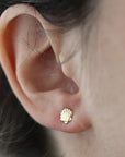 Boucles d'oreilles petits coquillages