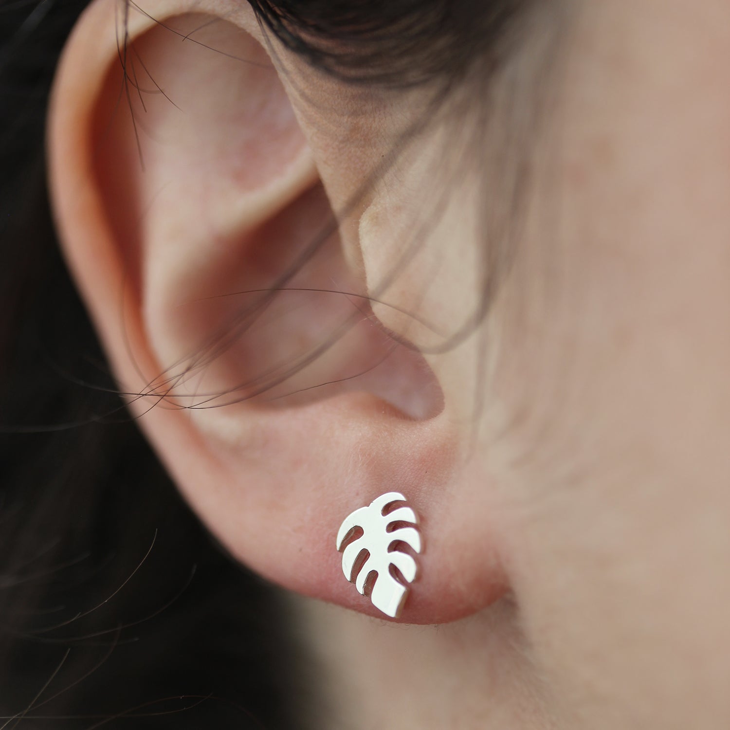 Boucles d'oreilles Feuilles de monstera