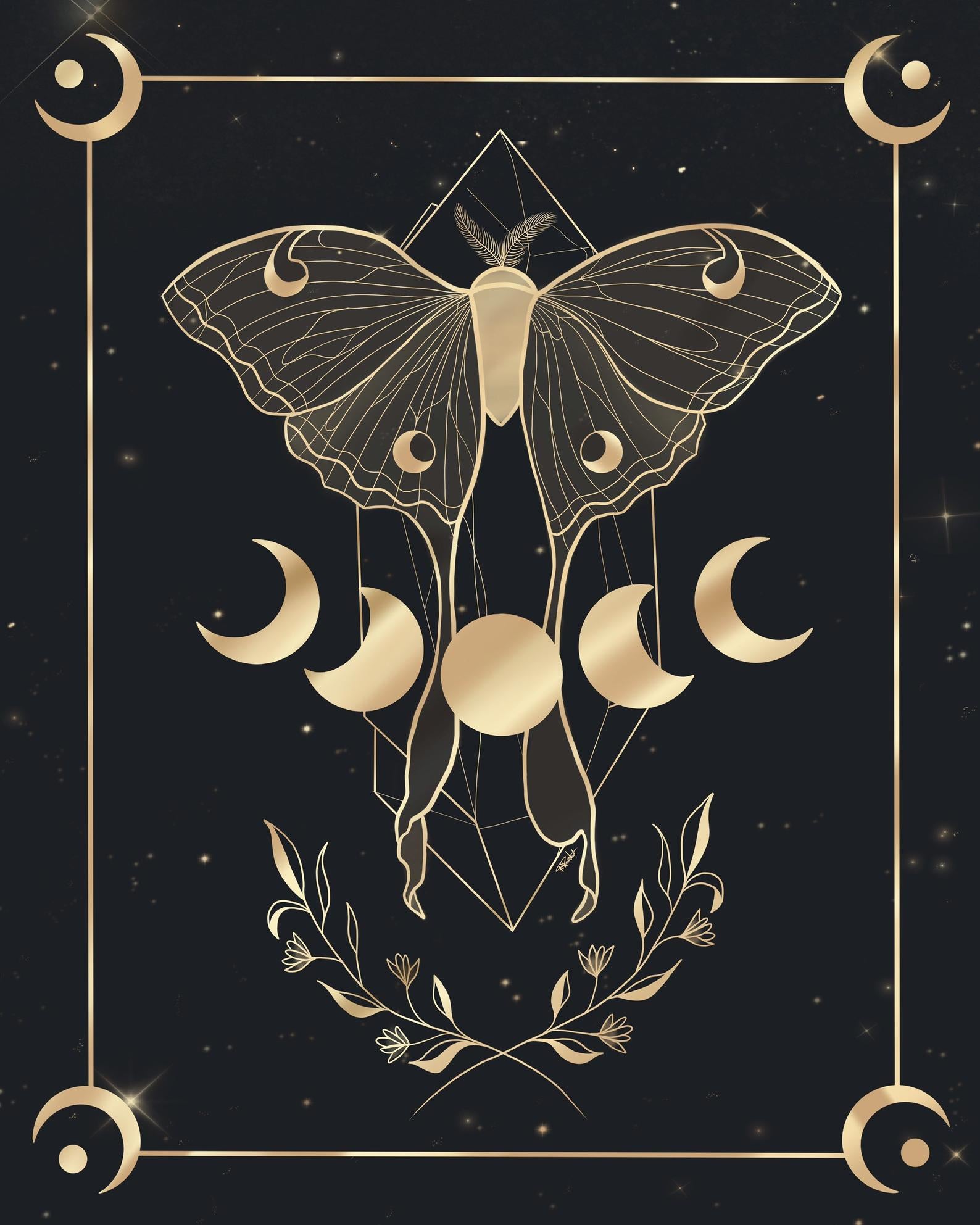 Illustration - Moon Butterfly