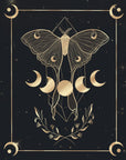 Illustration - Moon Butterfly