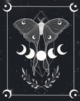 Illustration - Moon Butterfly
