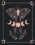 Illustration - Papillon de lune