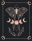 Illustration - Moon Butterfly