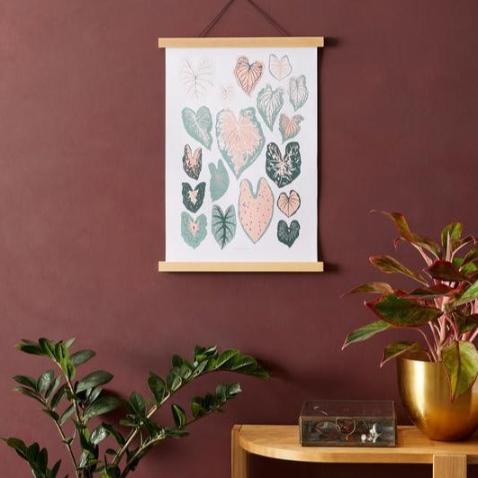 Affiche Caladiums 8x10
