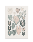 Affiche Caladiums 8x10