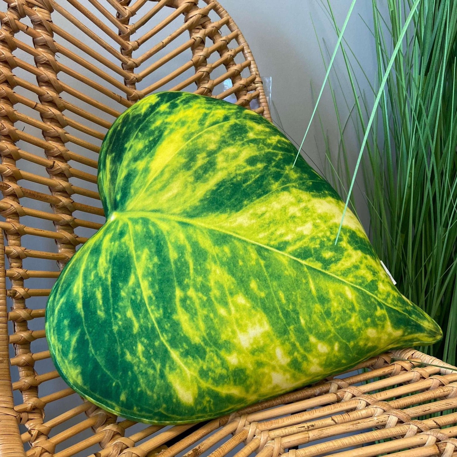 Pothos cushion