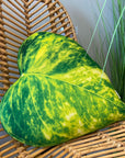 Pothos cushion