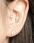 Clous d'oreilles Magaera