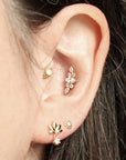 Clous d'oreilles Eris