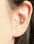 Clous d'oreilles mini Gerbera