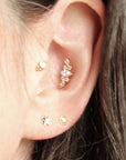 Clous d'oreilles mini Lys de pluis