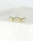 Clous d'oreilles mini Lys de pluis