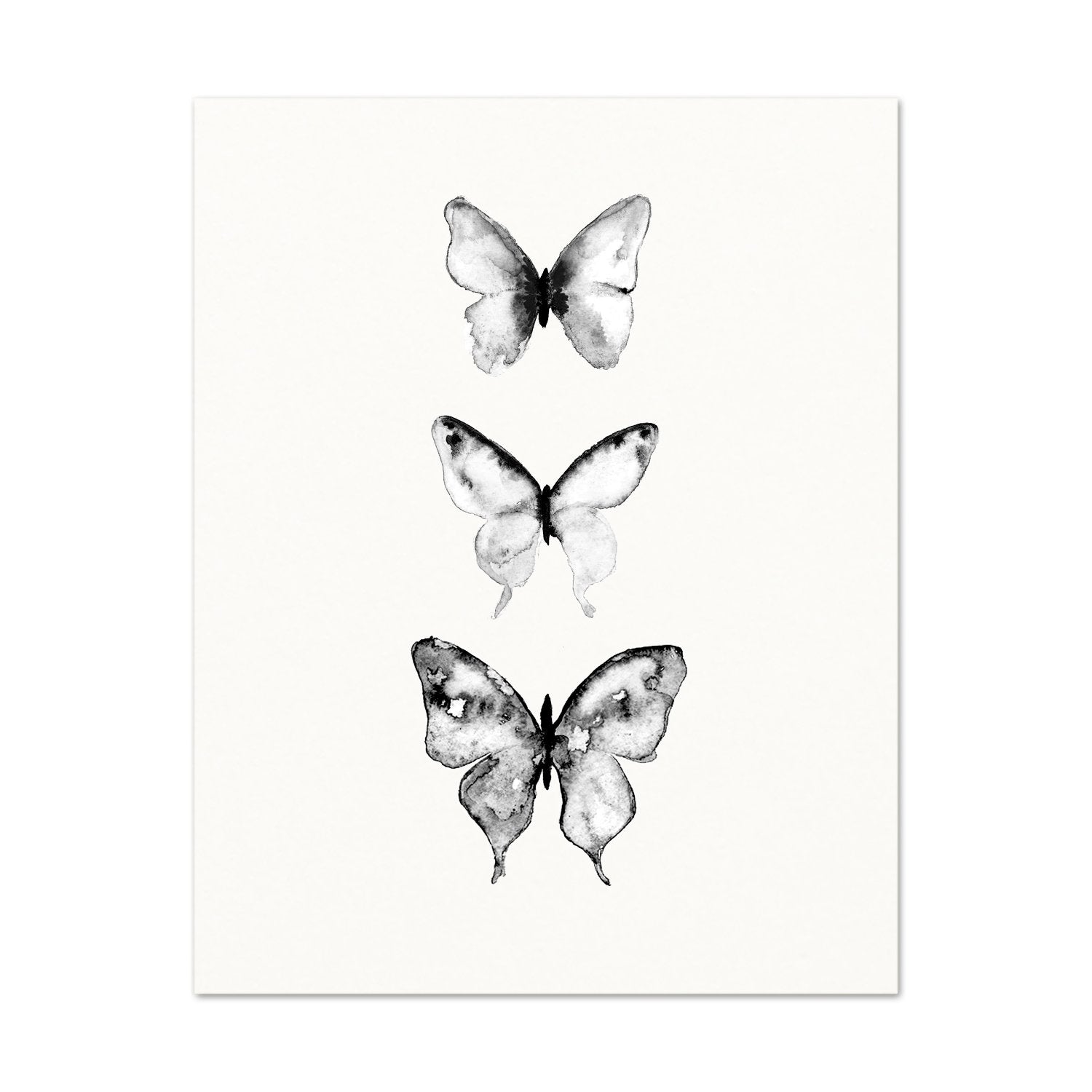 Illustration - Butterflies 