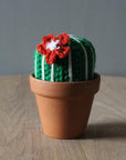 Cactus fleuri crocheté