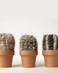 Ensemble de 3 cactus crochetés