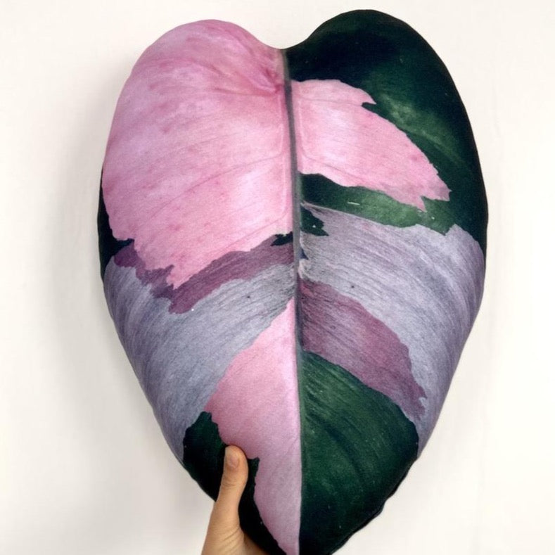 Coussin Philodendron Pink Princess
